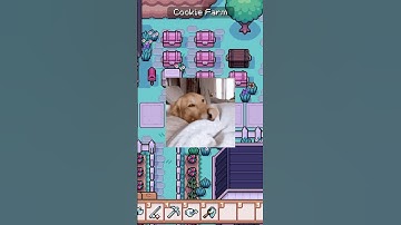 You Should Do This! | Fields of Mistria Tips #fieldsofmistria #stardewvalley #beginnertips  #gaming