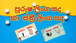 පුරුෂ ලිංග පද හා ස්ත්‍රී ලිංග පද|male words and female words in sinhala