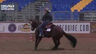 SHAUNA LARCOMBE - CS TAG A SMART FOX - FUTURITY 2014 IRHA