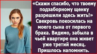 видео: Скажи спасибо, что твоему подзаборному щенку от первого брака разрешили здесь жить! Заявила свекровь картинка: Скажи спасибо, что твоему подзаборному щенку от первого брака разрешили здесь жить! Заявила свекровь