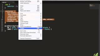Sublime Text Perfect Workflow - 016 - Cross Browser CSS With Prefixr
