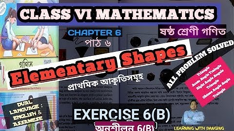 Exercise 6(B) || Class VI Maths | Chapter 6| Elementary Shapes| All Problem solved || Dual Language|