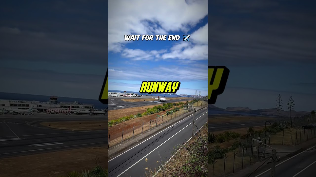 This pilot executes a perfect landing his next move will surprise you✈️😳