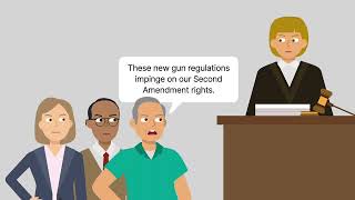 Heller v. District of Columbia Case Brief Summary | Law Case Explained