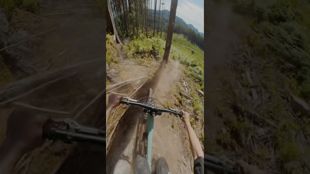This video should serve as a reminder to keep your hands and feet inside the ride at all times.