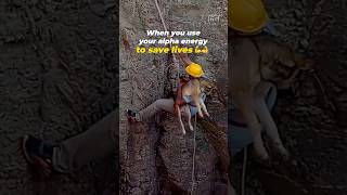 These men are using their strength to protect animals and challenge what “tough” really means.