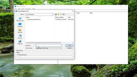 How to Enable or Disable Video Input in Windows 10 Sandbox