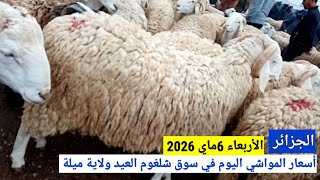 أسعار المواشي اليوم في سوق شلغوم العيد ولاية ميلة الجزائر الأربعاء 6ماي 2026