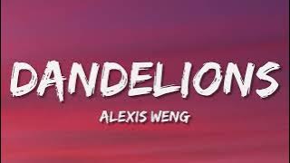 Alexis Weng - Dandelions (lyrics) (Ruth B. Cover)