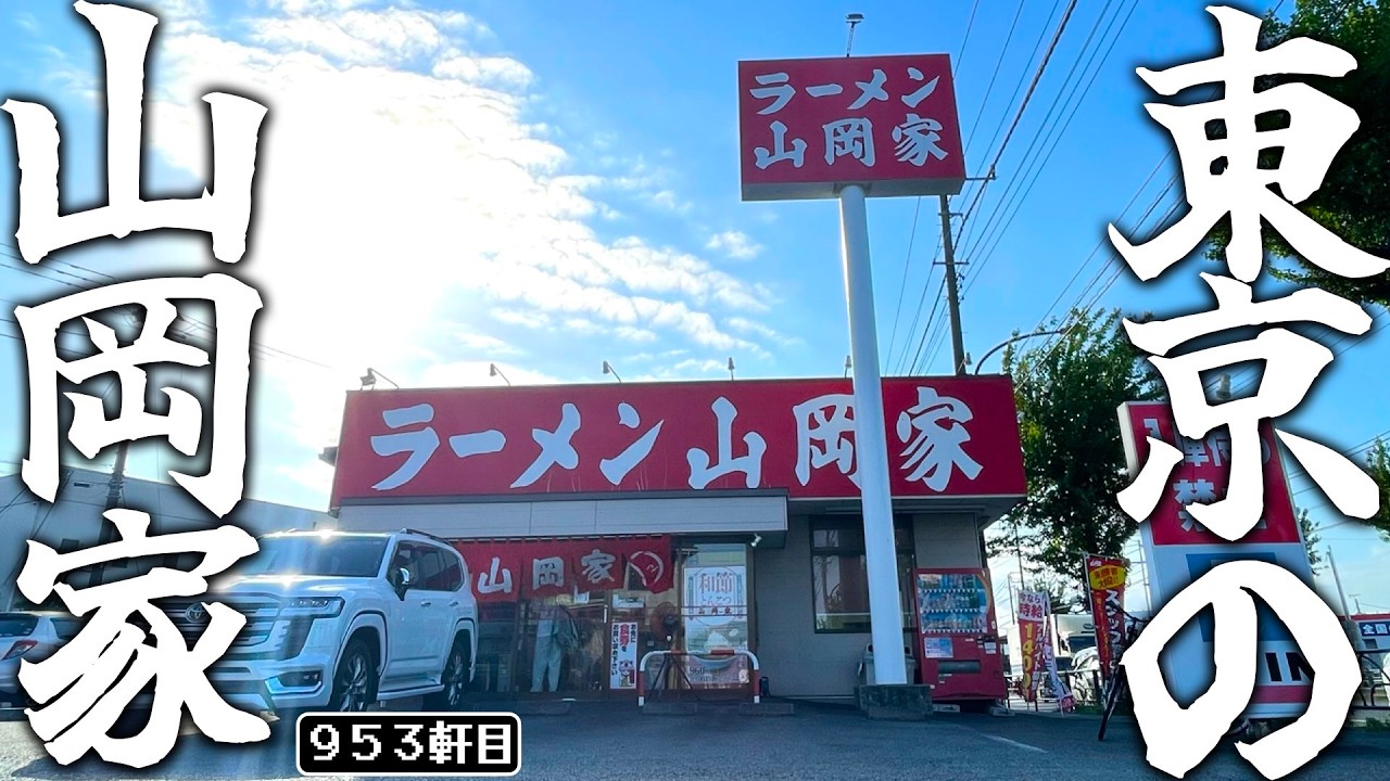 山岡家は都内にもある!!硬め濃いめ多めの中毒セットが染みるね【ラーメン山岡家瑞穂店】