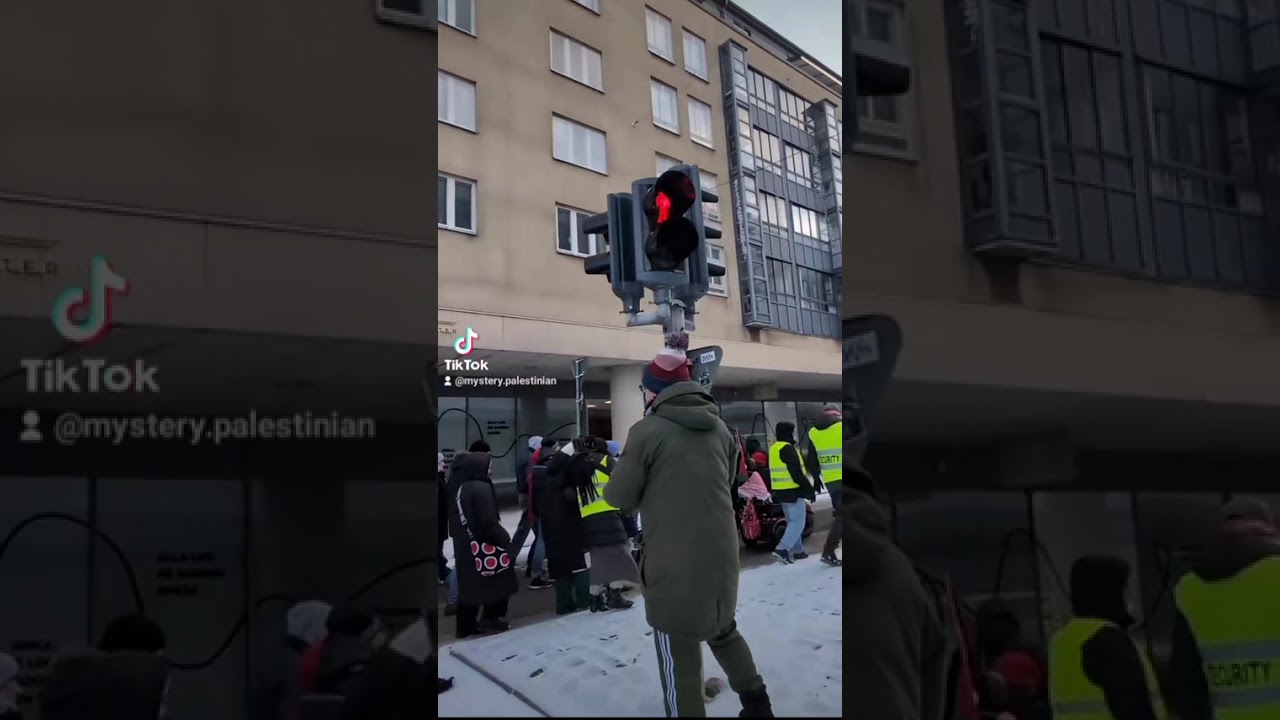 Malmö Sailence Demonstration (after Snow) for Palestine,Yemen,Sudan & Justice مظاهرة سلمية لفلسطين