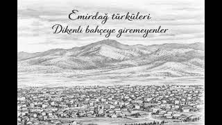 Dila Şentürk - Dikenli Bahçeye Giremeyenler