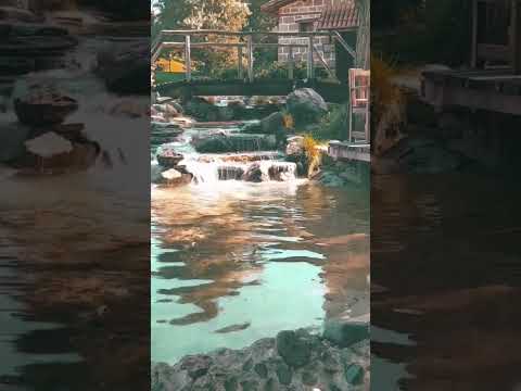 MUNZURUN DAĞLARINDA ALİ