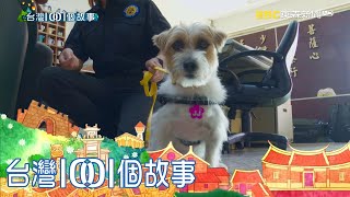 台灣最萌警犬隊 警花隊長帶頭萌 part5 台灣1001個故事｜白心儀