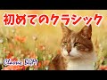 【癒しのクラシックBGM】初めてのクラシックにオススメの大人気の曲/聞いたことがある曲ばかり
