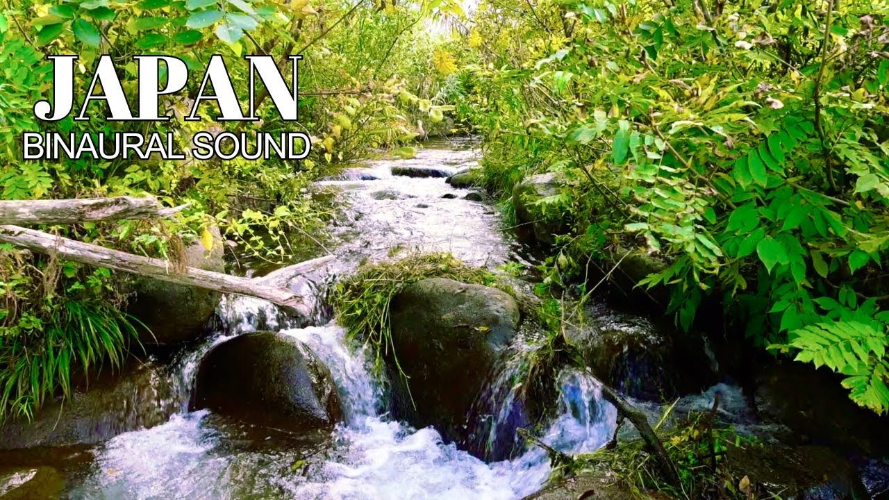 【自然環境音:ASMR】秋の川のせせらぎ - Nature Sounds 【日本の美】|バイノーラル録音による究極の臨場感【# 34 ...
