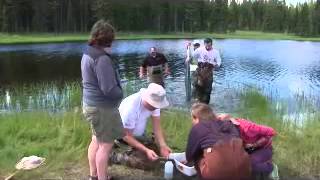 What's a BioBlitz?