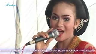 Syahdu Tokek Sekar Mayang Live Gunan Slogohimo