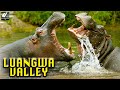 Luangwa Valley - अफ़्रिका का मरुस्थल लुआंग्वा नदी - World Documentary HD