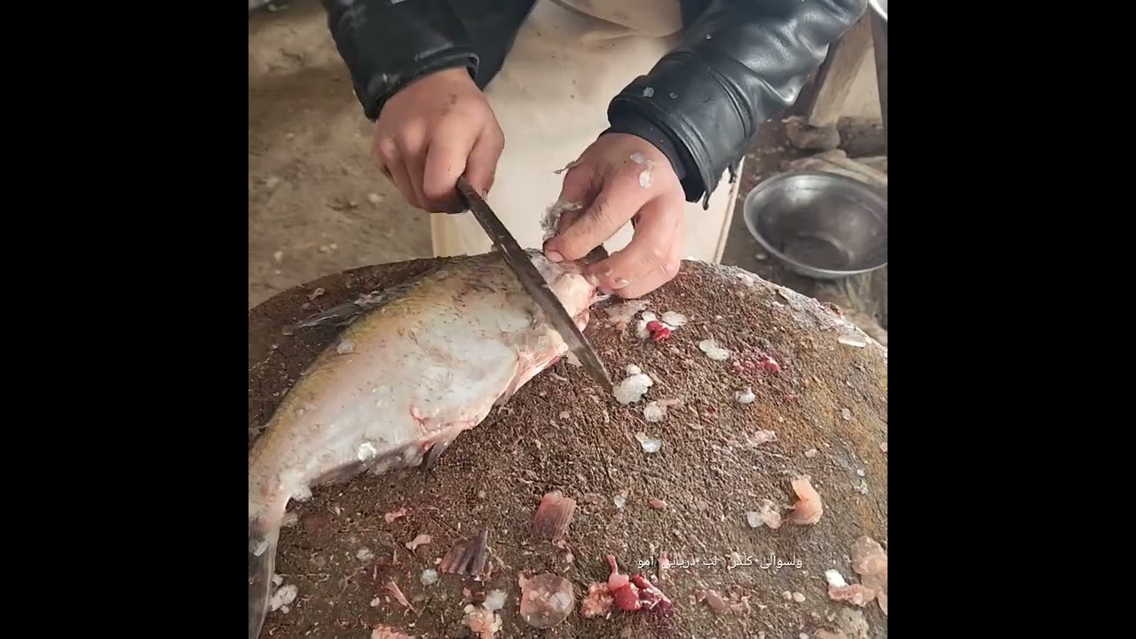 #ماهی #food #baliq #kelder 