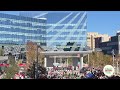 Tamales and Mariachi festival