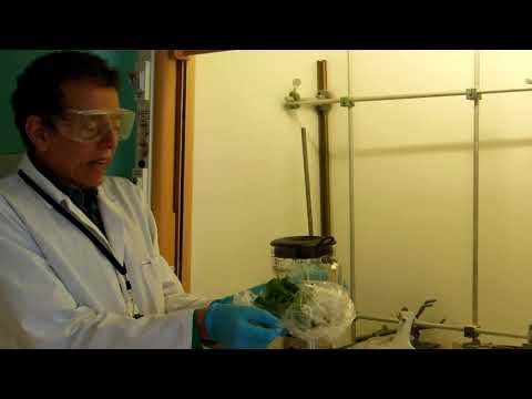 Extraction of bioactive compounds from natural sources