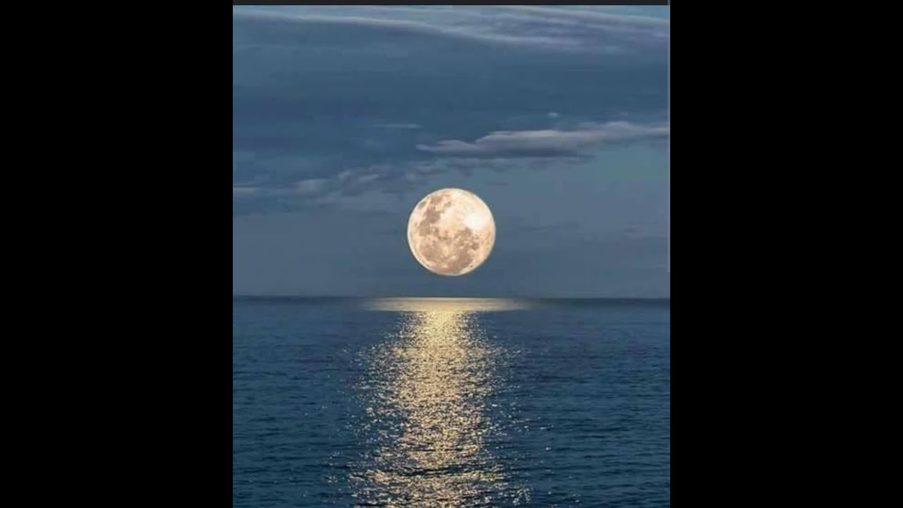 Full Moon Night Ambience 🌕 | Deep Sleep, Relaxing Rain & Soothing Night Sounds (8 Hours) Dark Screen