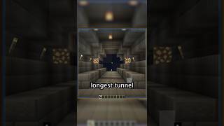 Longest Tunnel Ever?