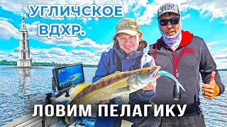 видео: УЧИМСЯ ЛОВИТЬ СУДАКА на ПАНОПТИКС / Угличское водохранилище. картинка: УЧИМСЯ ЛОВИТЬ СУДАКА на ПАНОПТИКС / Угличское водохранилище.