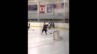 Full R hockey Guide