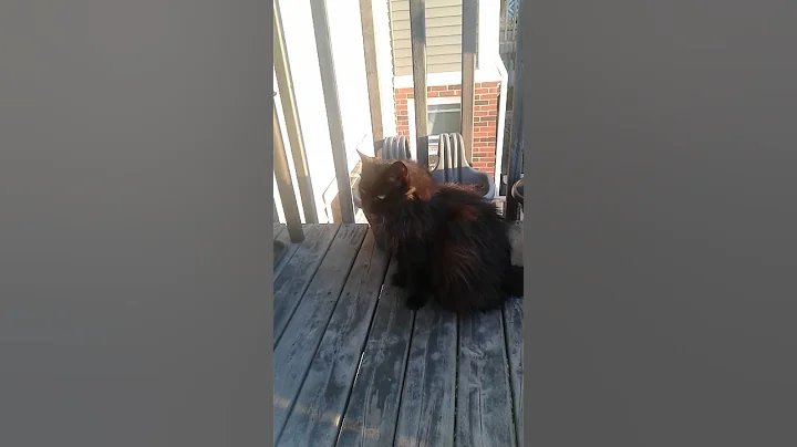 Mia waits for her grass to grow!