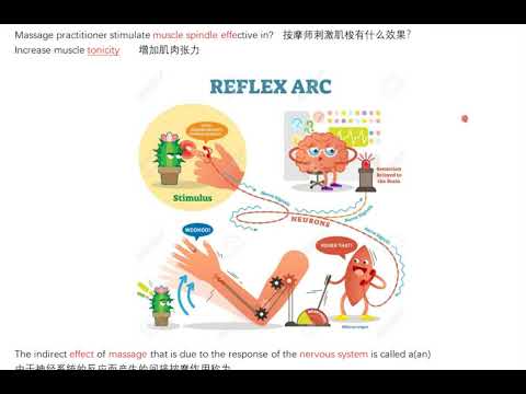 20210810  MBLEX 美国联邦按摩考题大纲 技术 软组织鉴别+心理学好处+软组织控制