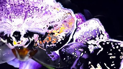 A Single Ocean - Edge Effects (Official Music Video)