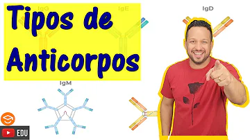 O que define o tipo de anticorpo?