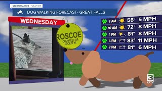 Dog-walking forecast (June 25, 2025)