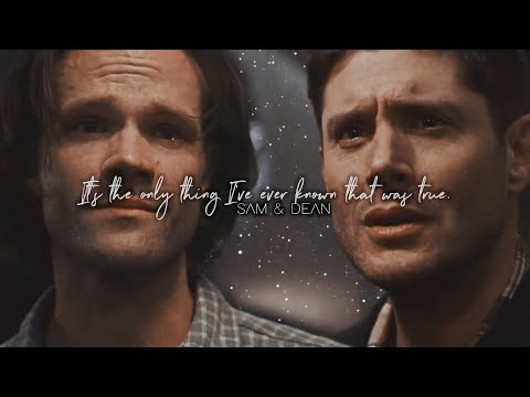 Sam & Dean • Would You Trade Me? {+15x17}