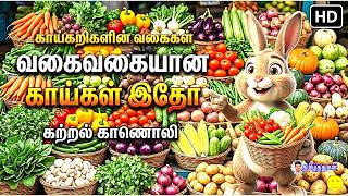 காய்கறிகள் கற்றல் காணொலி காய்களின் பெயர்கள் LEARN TYPES OF VEGETABLES VIDEO FOR KIDS VEG NAMES