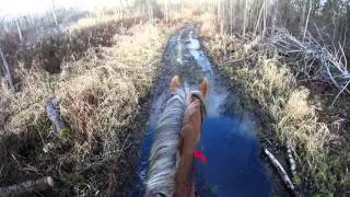 Christmas Day Hack- Helmet Cam