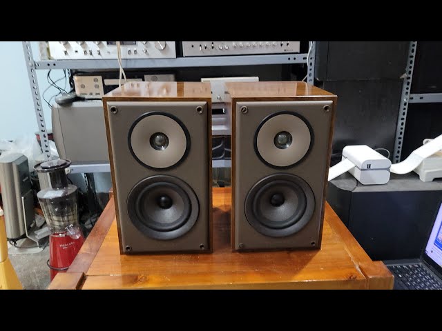 Rare and beautiful Denon SC-E232 bookshelf speakers, a collector's