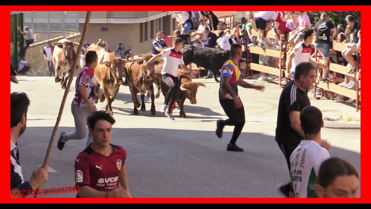 SORIA ( MATINAL ) ENCIERRO DE NOVILLOS CON VARIAS PASADAS ( DOMINGO 25 JUNIO 2023 ) TOROPASION