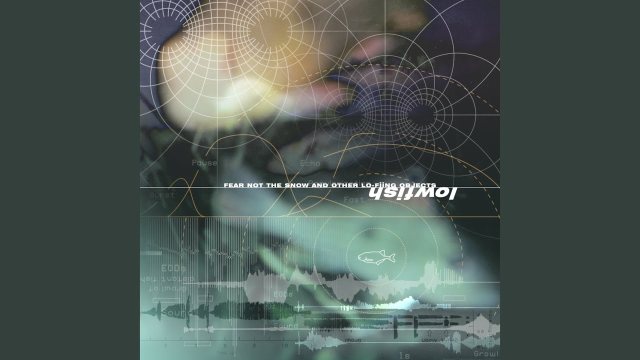 Rubber Spider Monkey