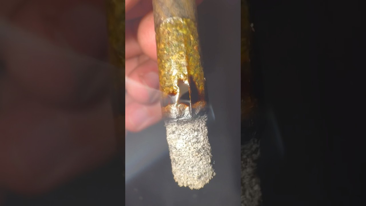 Is this the perfect burn?