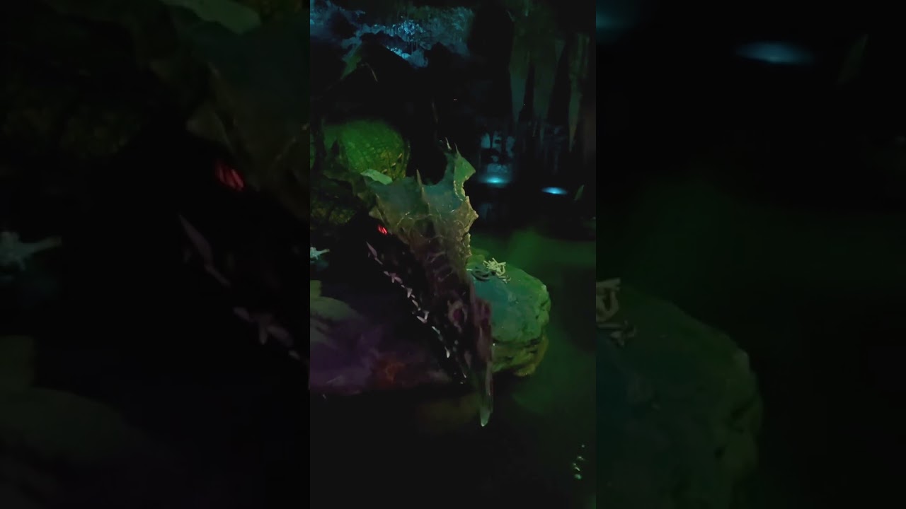 The Dragon Under Disney Paris