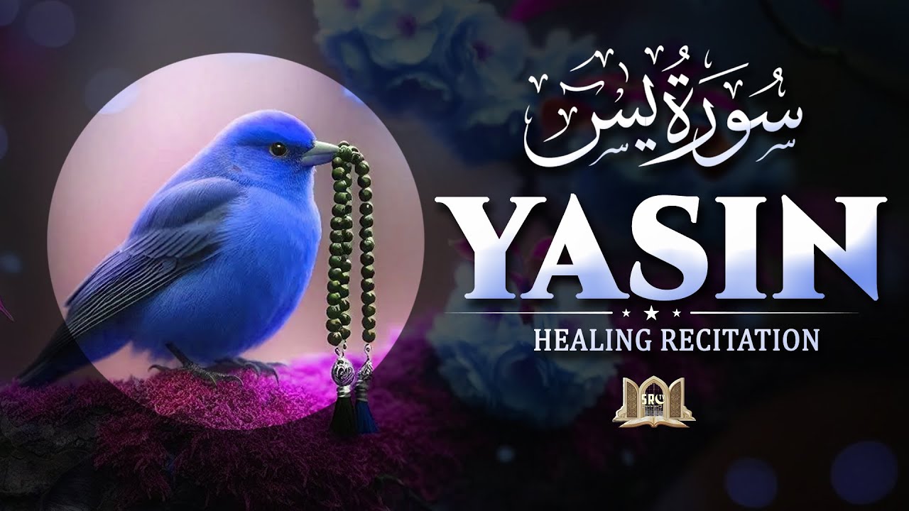 Surah Yasin (Yaseen) سورة يس for Healing | Relieve Stress, Depression & Anxiety | 