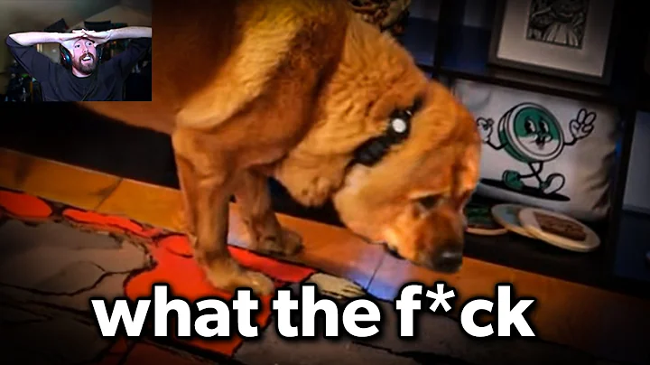 THIS KEEPS GETTING WORSE..