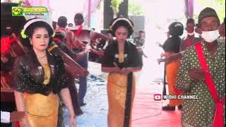 Tayub Lamongan || SRI TANJUNG || Wariati, Handayani & Violin