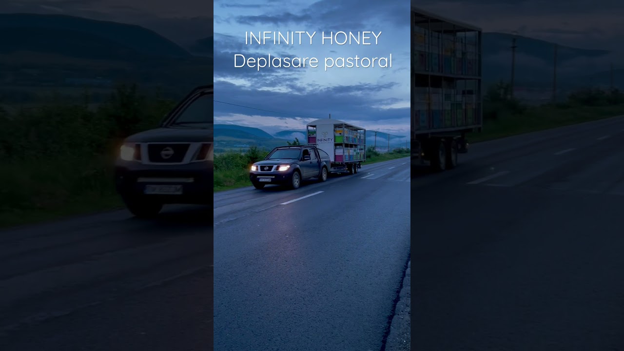 INFINITY HONEY - deplasare pastoral