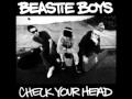 Beastie Boys - Namaste - Check Your Head