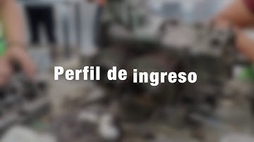 Técnico en Sistemas Automotrices