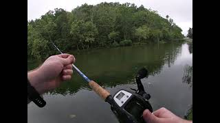 How to remove a Bird's Nest/Backlash QUICKLY (Beginner Tips)